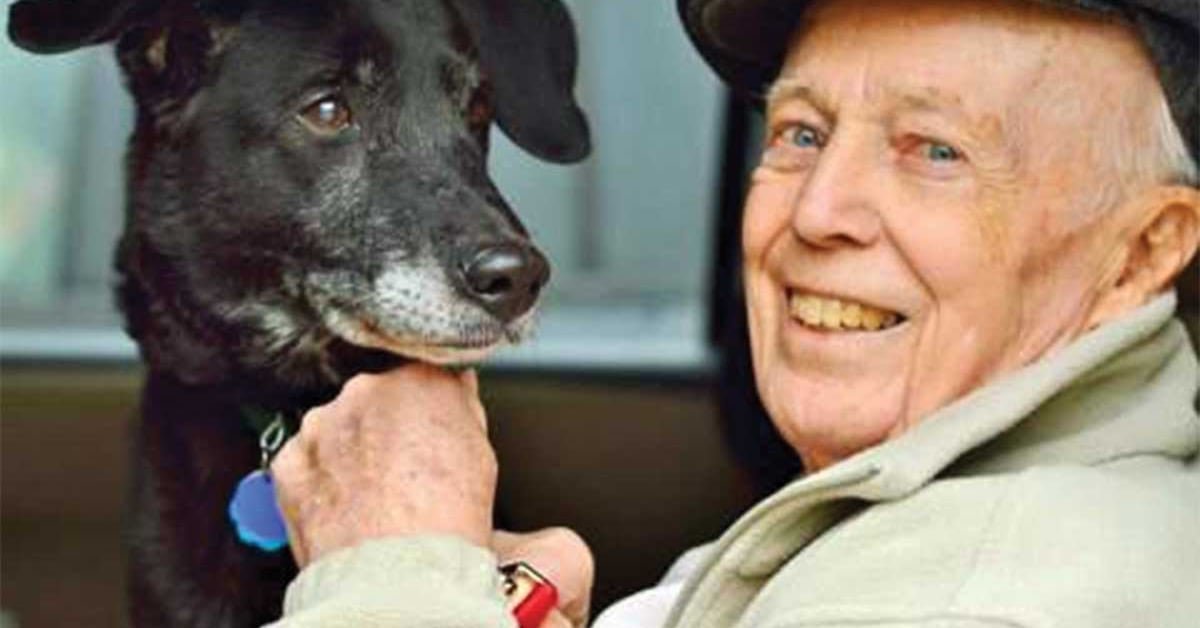 Innovation for good: dreams of the dreams and Pets for older