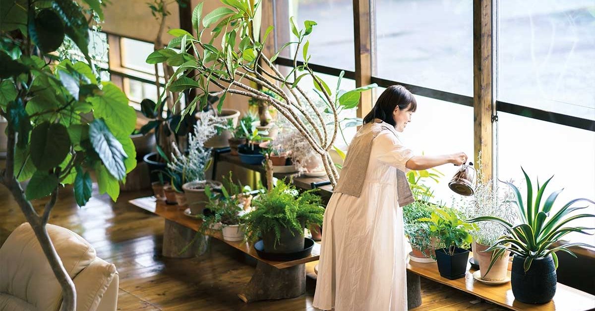 The benefits of the plants - the living magazine