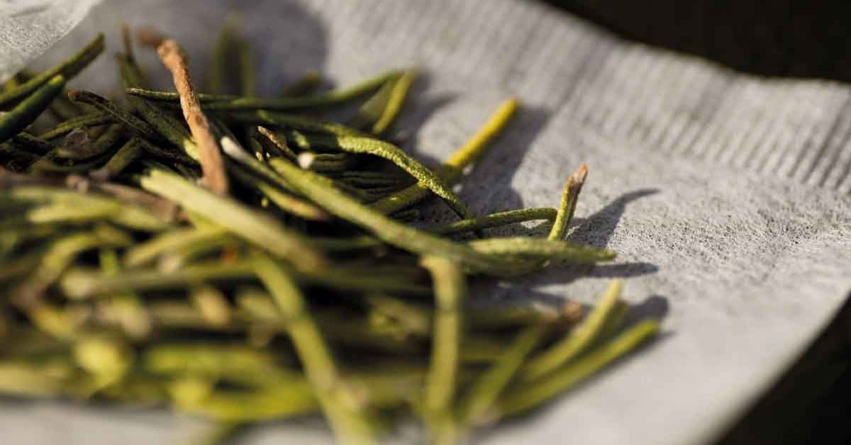 The benefits of oystistic healing
